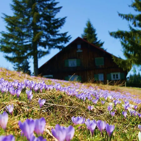Landhaus Eibelesmühle Am See Apartment Oberstaufen